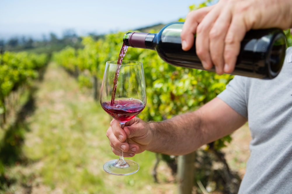 Cos’è il vino naturale?